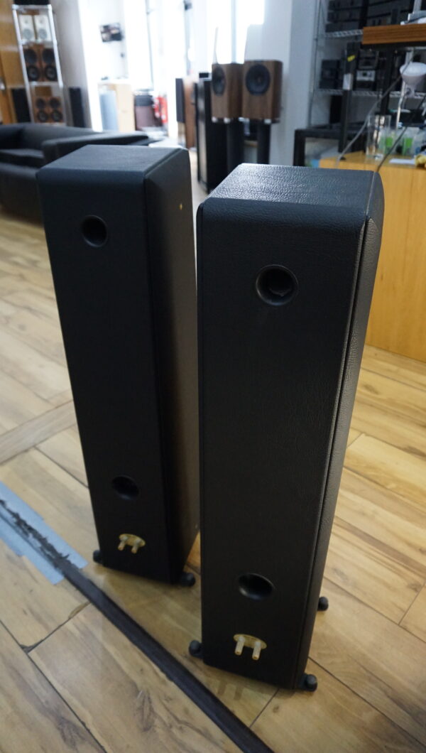 Sonus Faber Toy Tower floor standing speakers Used - Image 5