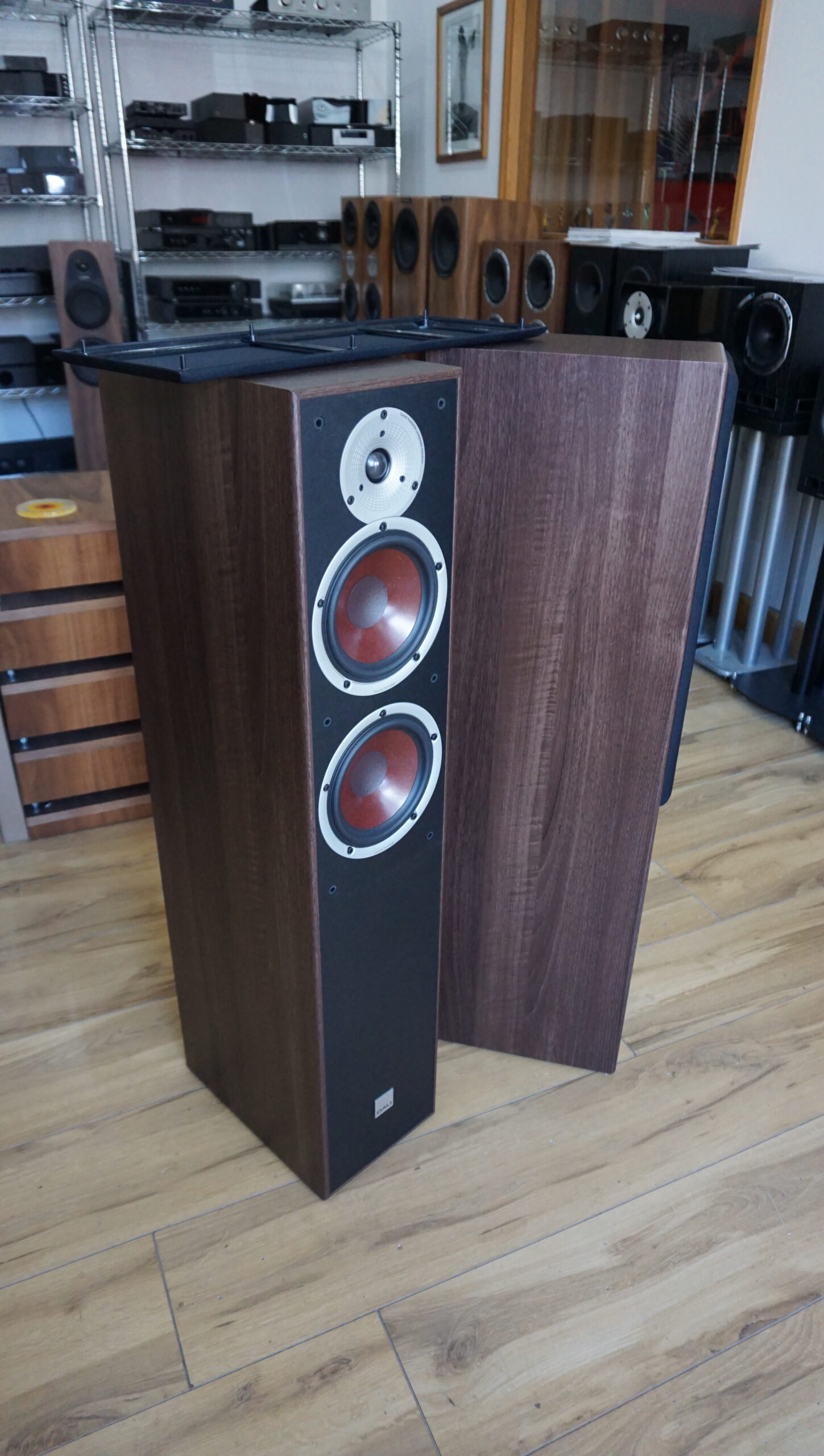 Dali Spektor 6 in walnut used - Image 3