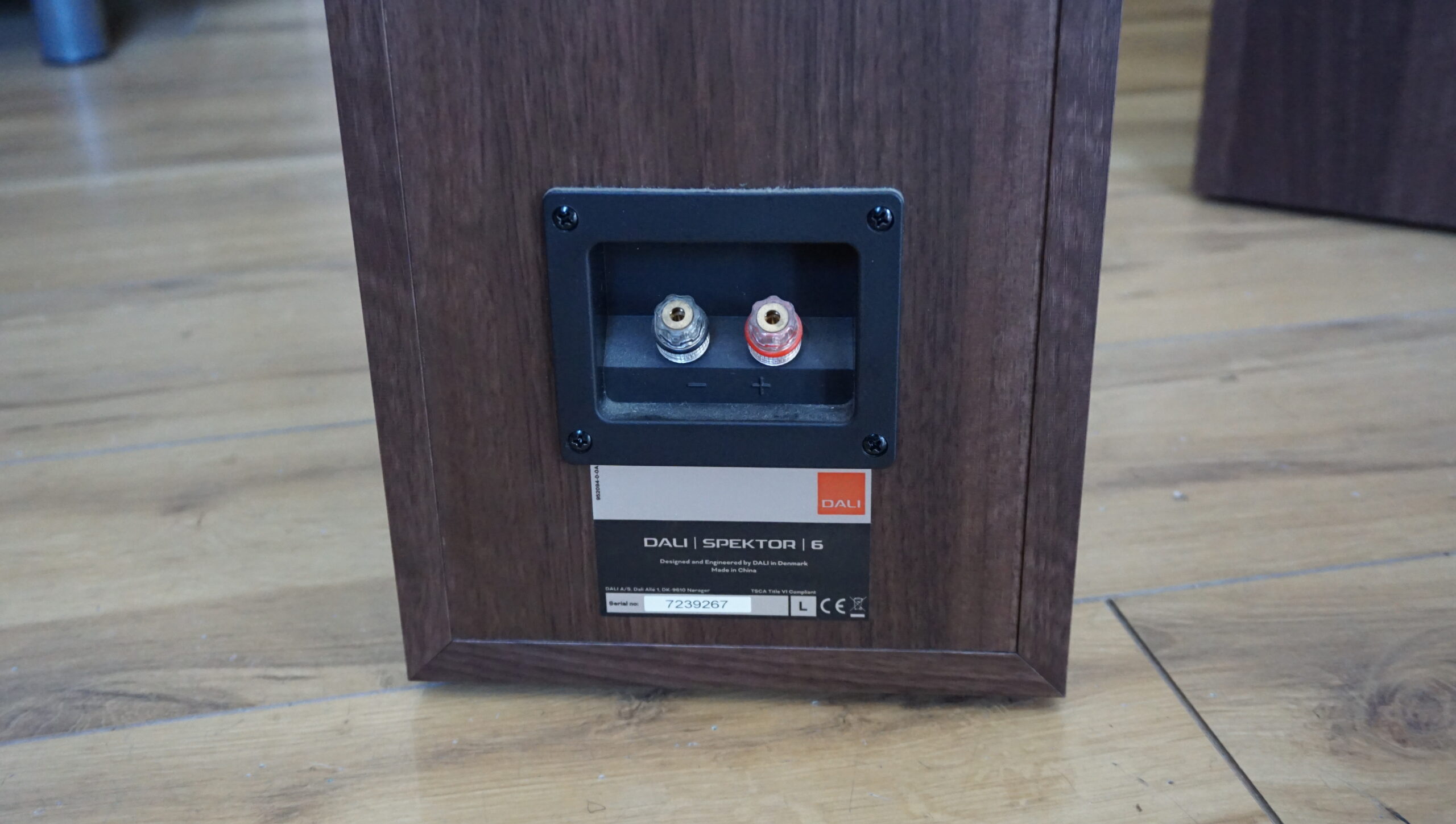 Dali Spektor 6 in walnut used - Image 4
